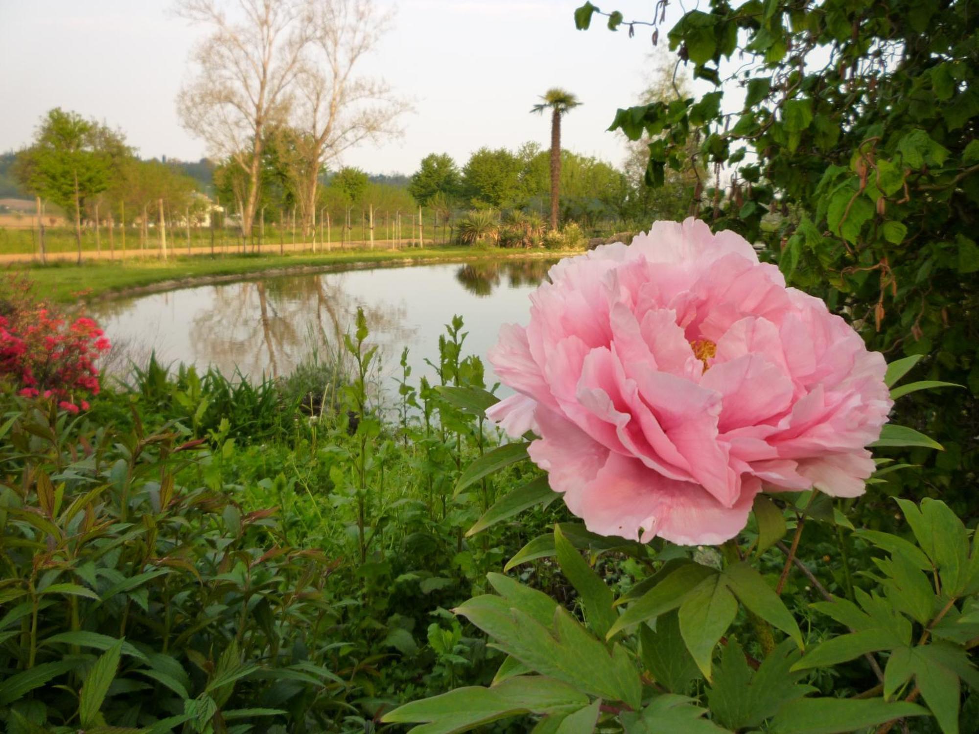 Country House Barone D'Азоло Екстериор снимка