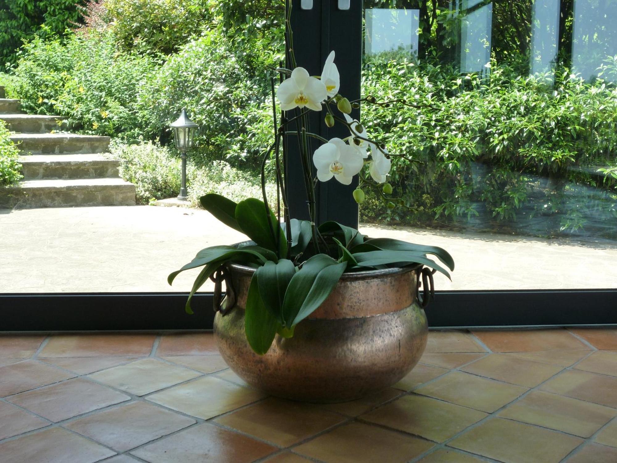 Country House Barone D'Азоло Екстериор снимка